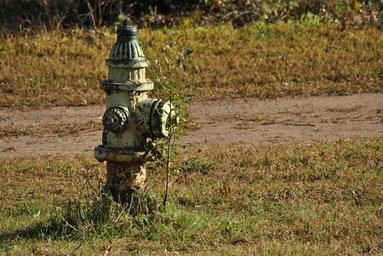 vodní hydrant